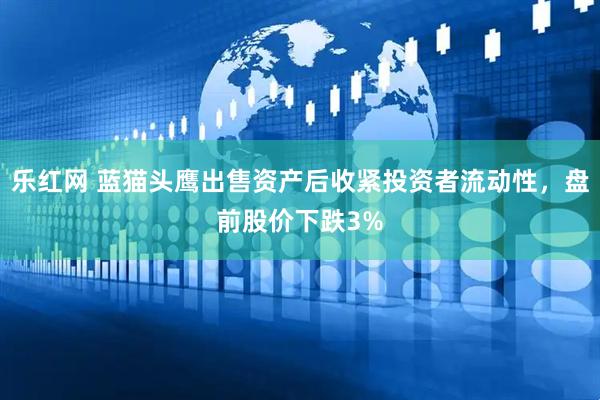 乐红网 蓝猫头鹰出售资产后收紧投资者流动性，盘前股价下跌3%