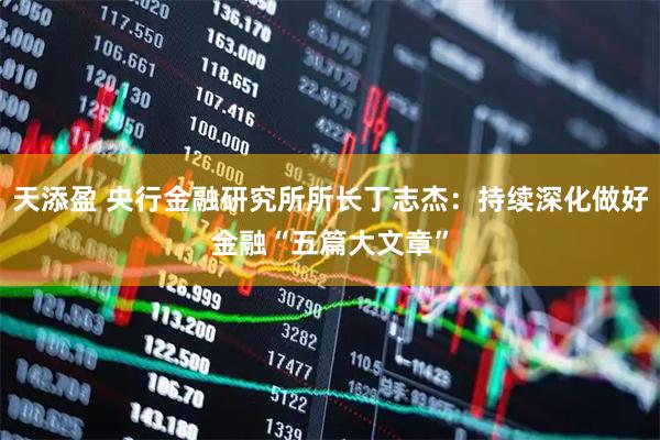 天添盈 央行金融研究所所长丁志杰：持续深化做好金融“五篇大文章”