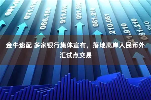金牛速配 多家银行集体宣布，落地离岸人民币外汇试点交易