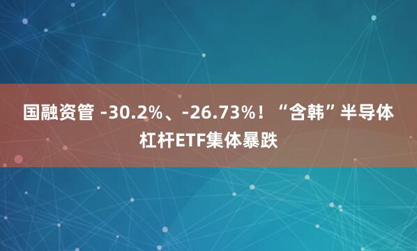 国融资管 -30.2%、-26.73%！“含韩”半导体杠杆ETF集体暴跌